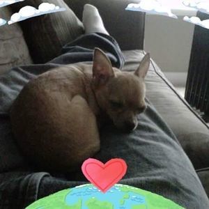 Meet your Posher, Russell